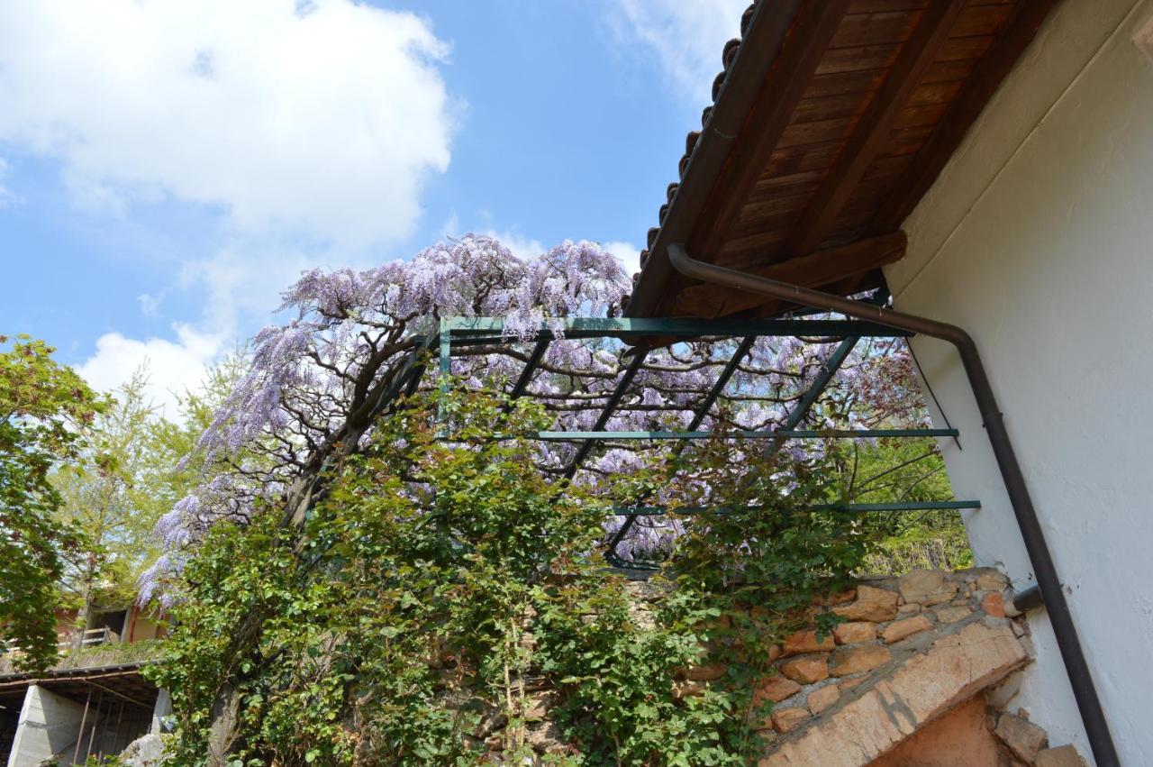 L'Uovo E La Faina Bed & Breakfast Busca Exterior photo